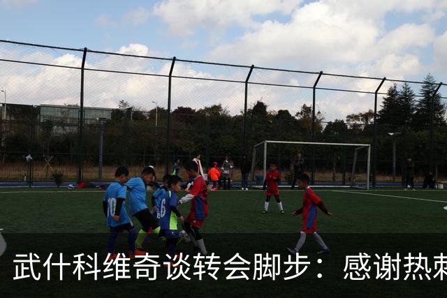武什科维奇谈转会脚步：感谢热刺，重燃布莱顿执念